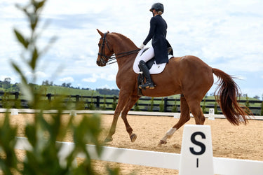 Weatherbeeta White Satin Luxe Air-Tec Dressage Saddle Pad| Online For Equine