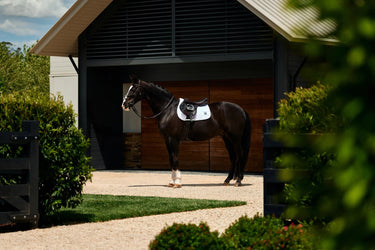 Weatherbeeta White Satin Luxe Air-Tec Euro Jump Saddle Pad| Online For Equine