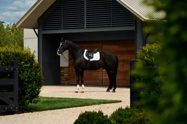 Weatherbeeta White Suede Elite Air-Tec  GP Saddle Pad| Online For Equine