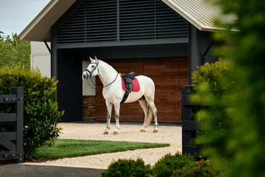 Weatherbeeta Wine Plum Suede Elite Air-Tec Dressage Saddle Pad| Online For Equine