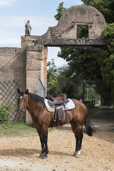 Westride Felt Saddle Pad 16 Mm
