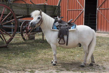 Westride Quilted Navajo Saddle Pad| Online For Equine