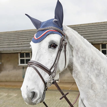 Buy Whitaker Lynton Flash Bridle C/W Spare Browband Havana| Online for Equine