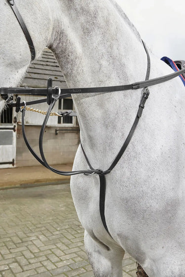 Buy Whitaker Lynton Running Martingale Black| Online for Equine