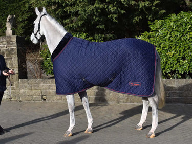 Buy Whitaker Rastrick Cosy Stable Rug Navy| Online for Equine