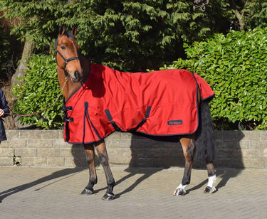 Buy Whitaker Rastrick Turnout Rug 0g Red| Online for Equine