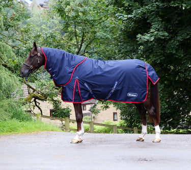 Whitaker Rastrick Turnout Rug V2 Detachable Neck Combo 250gm| Online For Equine