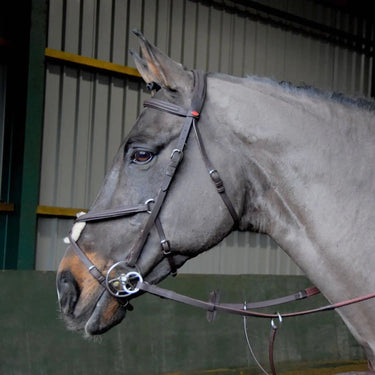 Buy Whitaker Ready To Ride Mexican Bridle| Online for Equine