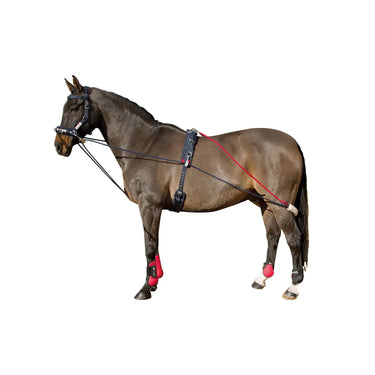 Buy Whitaker Training System| Online for Equine