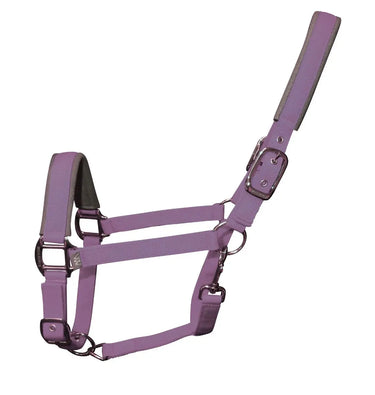 Buy Woof Wear Colour Fusion Headcollar| Online for Equine