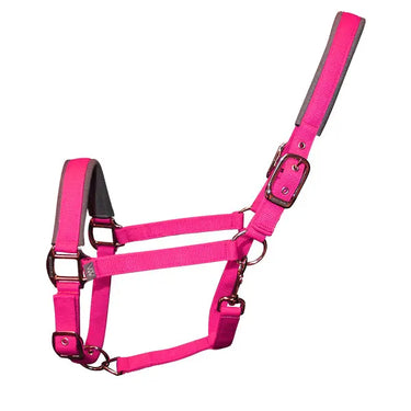 Buy Woof Wear Colour Fusion Headcollar| Online for Equine