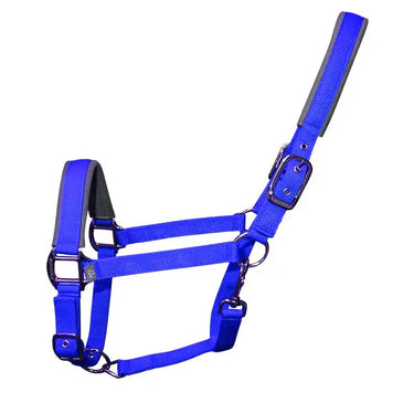 Buy Woof Wear Colour Fusion Headcollar| Online for Equine