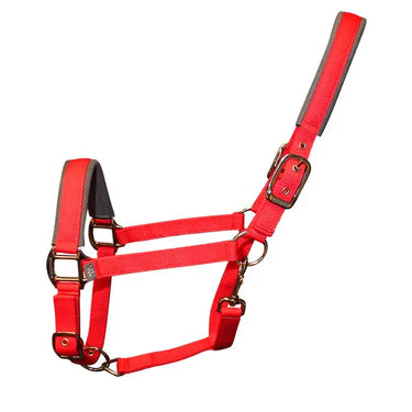 Buy Woof Wear Colour Fusion Headcollar| Online for Equine
