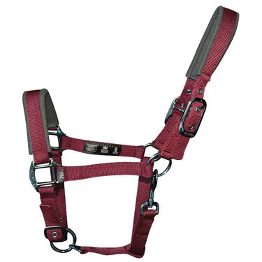 Buy Woof Wear Colour Fusion Headcollar| Online for Equine