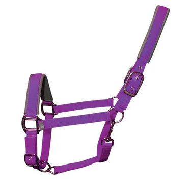Buy Woof Wear Colour Fusion Headcollar| Online for Equine