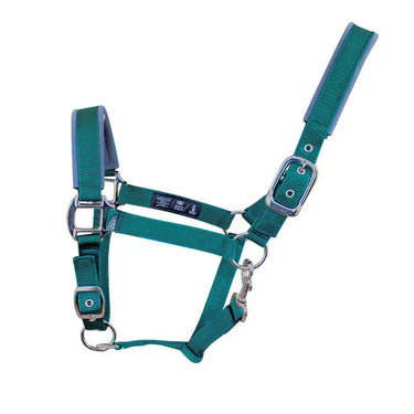 Buy Woof Wear Colour Fusion Headcollar| Online for Equine