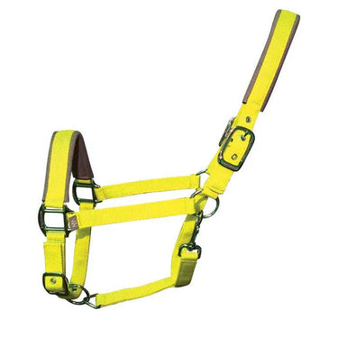 Buy Woof Wear Colour Fusion Headcollar| Online for Equine