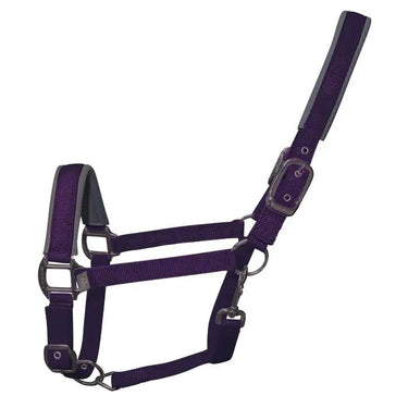 Buy Woof Wear Damson Colour Fusion Headcollar| Online for Equine