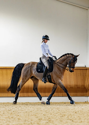 Woof Wear Elite Comfort Plus Black Dressage Pad| Online For Equine