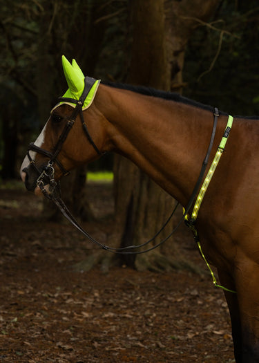 Woof Wear Hi Vis Noise Cancelling Fly Veil | Hi Vis Yellow| Online For Equine
