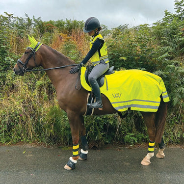 Buy Woof Wear Hi Viz Exercise sheet| Online for Equine