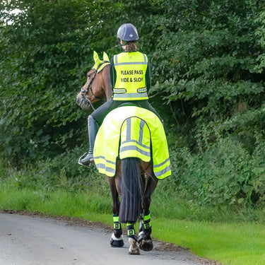 Buy Woof Wear Hi Viz Exercise sheet| Online for Equine