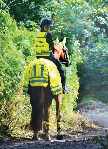 Woof Wear Hi Viz Yellow Winter Hi Vis Exercise Sheet| Online For Equine