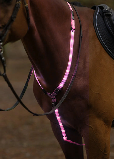 Woof Wear LED Neck Band | Hi Vis Pink| Online For Equine