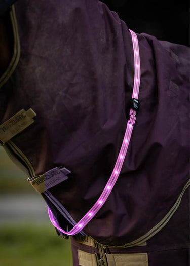Woof Wear LED Sash | Hi Vis Pink| Online For Equine
