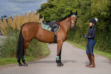 Buy Woof Wear Pistachio Club Brushing Boot| Online for Equine