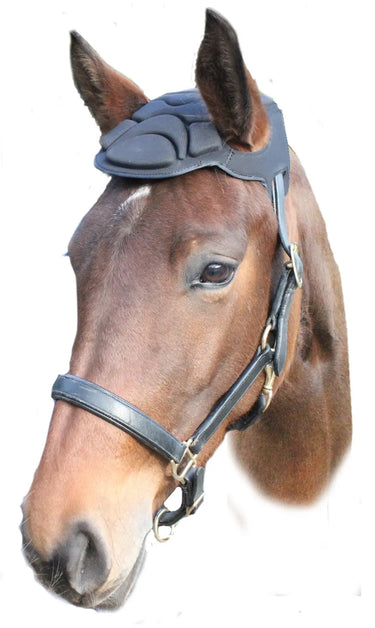 Buy Woof Wear Poll Guard-Black-Medium / Large| Online for Equine