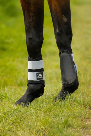 Buy Woof Wear Porcelain Blue Club Brushing Boot| Online for Equine