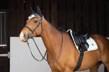 Buy Woof Wear Vision Pistachio Fly Veil| Online for Equine
