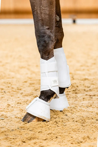 Woof Wear White Double Lock Brushing Boots| Online For Equine