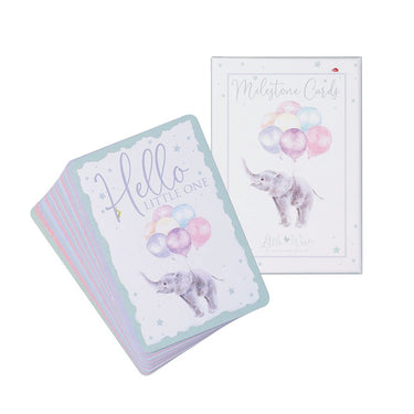Wrendale Designs Baby Animal Milestone Cards| Online For Equine