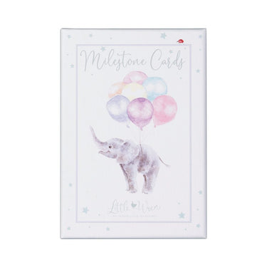 Wrendale Designs Baby Animal Milestone Cards| Online For Equine
