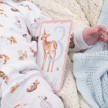 Wrendale Designs Baby Animal Milestone Cards| Online For Equine