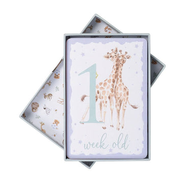 Wrendale Designs Baby Animal Milestone Cards| Online For Equine