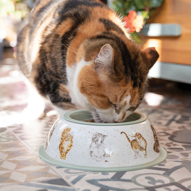 Wrendale Designs Cat Bowl| Online For Equine