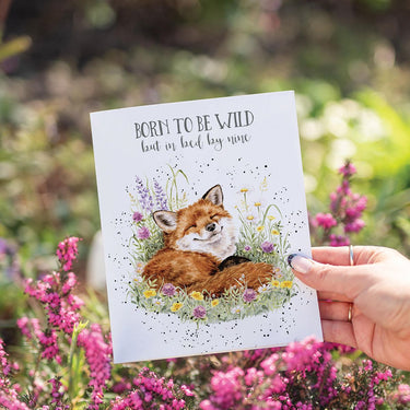 Wrendale Designs Serenity' Fox Birthday Card| Online For Equine
