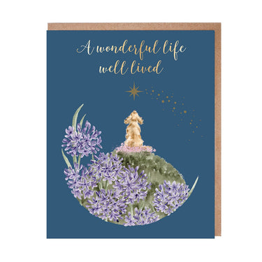 Wrendale Designs 'A Faithful Companion' Dog Pet Sympathy Card| Online For Equine