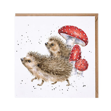 Wrendale Designs 'A Prickly Adventure' Hedgehog Card| Online For Equine