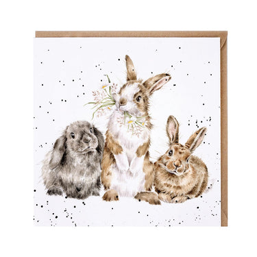 Wrendale Designs 'All Ears' Rabbit Card| Online For Equine