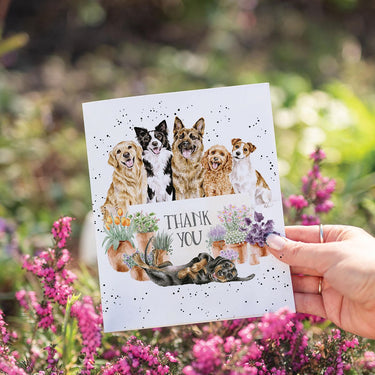 Wrendale Designs 'Bloom And Barks' Dog Thank You Card| Online For Equine