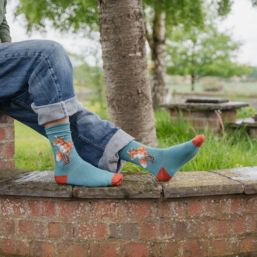 Wrendale Designs 'Bright Eyed And Bushy Tailed' Fox Men'S Socks| Online For Equine