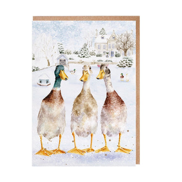 Wrendale Designs 'Christmas On The Pond' Duck Christmas Card Pack| Online For Equine