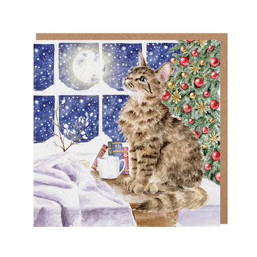 Wrendale Designs 'Christmas Stars' Cat Christmas Card| Online For Equine