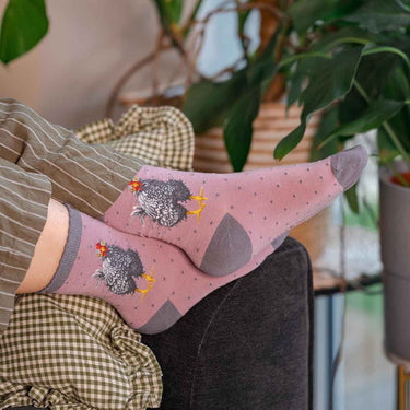 Wrendale Designs 'Curious Hen' Chicken Socks| Online For Equine