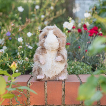 Wrendale Designs 'Daphne' Guinea Pig Plush Toy| Online For Equine