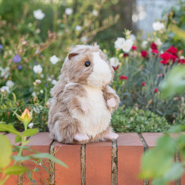 Wrendale Designs 'Daphne' Guinea Pig Plush Toy| Online For Equine